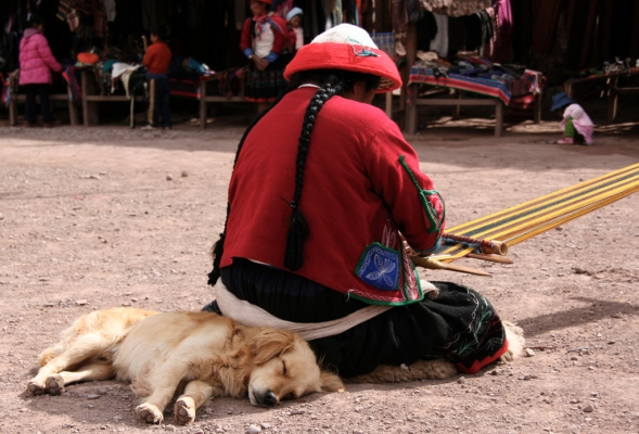 ccaccaccollo_community_dog_woman_weaving.jpg